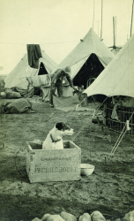 resized Archives  B Battery Mascot