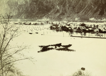 resized Archives  Snowy Star