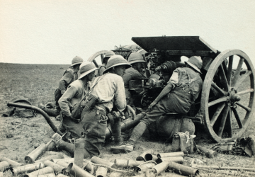 resized Archives  Subsection at Gaza