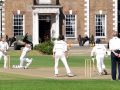 THE HAC Cricket batsman close