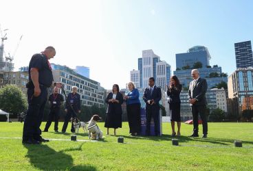 54774024870 de2f1d60ce c