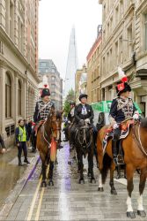 sheriffs ride 22 05 24