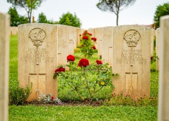 hac montecassino2024 images lcplwild